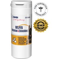 GIGI VET Welpen Wachstum & Entwicklung 220x350 g