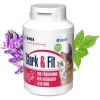 GIGI VET Stark & Fit 90x65 g