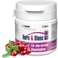 GIGI VET Harn & Blase 28x8 g