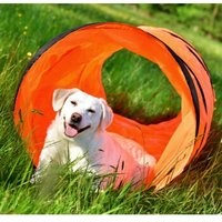 PfotenWunder® XXL-Profi-Agility 3-Meter-Tunnel