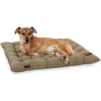 Doctor Bark Pointer Urban Kissen sandbraun XL