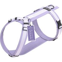 STUCH Geschirr Hund gepolstert flieder XS