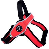 Tre Ponti Geschirr Primo Classic rot L