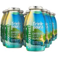 SmoothieDog Trinkpause 12x250 ml