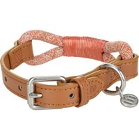 more LIFESTYLEPETS Tau-Halsband rot L
