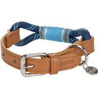 more LIFESTYLEPETS Tau-Halsband blau L