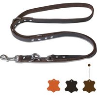 Freudentier Hundeleine aus zertifiziertem Leder 2m, verstellbare Führleine, Alsterufer Kollektion braun 1,2 cm