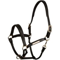 4Horses Lederhalfter Landscape schwarz VB/ COB (Vollblut)