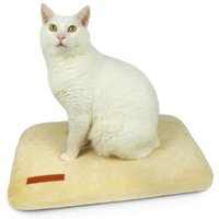 Schlitzohr Fensterbankliege Teddy stabil