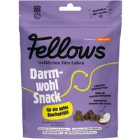 Fellows Darmwohl Snack 125 g
