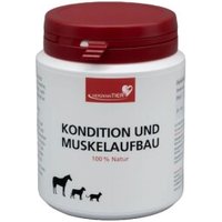 HerzensTier Kondition und Muskelaufbau 70 ml