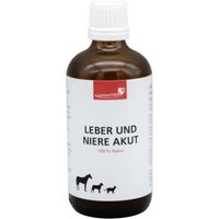 HerzensTier Leber und Niere akut 100 ml