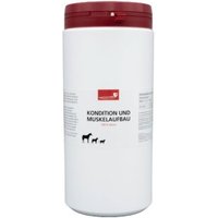 HerzensTier Kondition und Muskelaufbau 600 ml