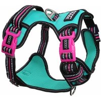 DOOG Hundegeschirr Neotech M
