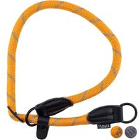 Floxik Retrieverhalsband - Robustes Halsband mit Zugstopp orange