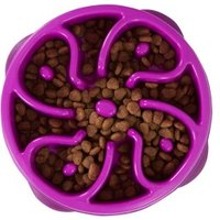 Outward Hound Fun Feeder Slo Bowl