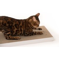 LucyBalu SCRATCHPAPER Katzen Kratzpappe weiß