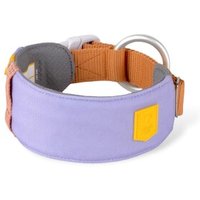 Woolly Wolf Halsband Alpha 360 Lavendermix XL
