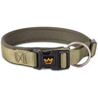 Rudelkönig Hundehalsband - Gepolstertes Halsband Bella grün 35 cm, 40 cm