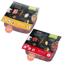 ProCani Menü Paket Rind und Huhn 22x500 g