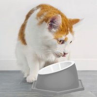 nobleza - Gesundheits Futternapf für Katzen - Waschbar & Abnehmbar grau