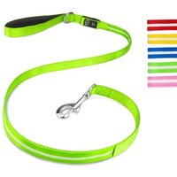 Petsation Hundeleine Leuchtend grün