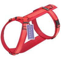 STUCH Geschirr Hund gepolstert rot L