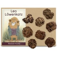 LEO LÖWENKATZ Matatabi Früchte (Silvervine Früchte), 20 Gramm Beutel