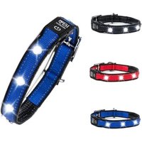 Petsation Leuchthalsband Hundehalsband blau S