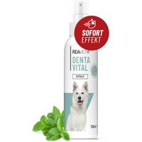 REAVET Denta Vital Spray 120ml