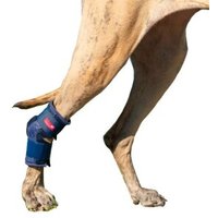 HerzensTier Sprunggelenkbandage Schaumstoff XXL