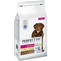 PERFECT FIT Adult 1+ Huhn M/L 6kg