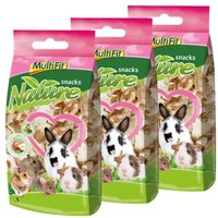MultiFit Nature snacks Apfelchips 3x70 g