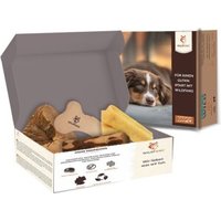 Wildfang ® Welpen Paket "Willkommen Jungspund" L