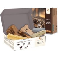Wildfang ® Kauwurzel / Kauspielzeug Paket Hundebox - Kauspaß M