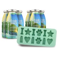 SmoothieDog Ente 6x 250 ml + Eiswürfelform