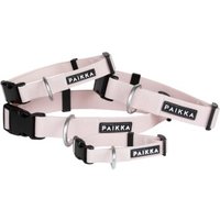 Paikka Glow Collar pale pink 26 cm, 2,5 cm