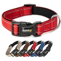 Lionto verstellbares Hundehalsband rot XL