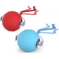 PetTec Interactive Toy Ball 2