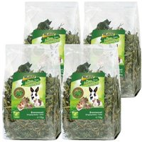 MultiFit Grain Free Kräuter 4er Set Brennnessel 4x70 g