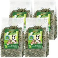 MultiFit Grain Free Kräuter 4er Set Pfefferminze 4x100 g
