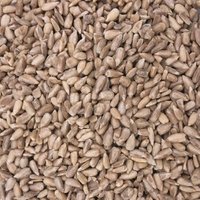 Supravit Sonnenblumenkerne geschält - Ganzjahresfutter für Wildvögel 5 kg