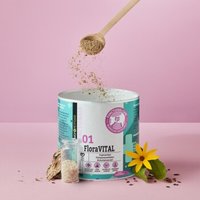 FAVLY Petfood FloraVITAL - Darmaufbau
