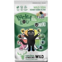 Lucky Lou Food Code Trockenfutter Katze, Senior, Geflügel und Wild 340 g