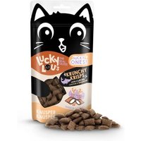Lucky Lou Lucky Ones Krunchy Krisps Lachs und Huhn 10x60 g