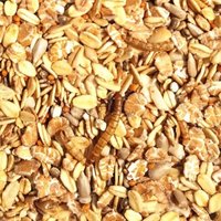 Supravit Spatzenfutter und Sperlingsfutter Vogelfutter mit Mehlwürmern | Energie und Proteinreiches Wildvogelfutter Ganzjahresfutter 5 kg