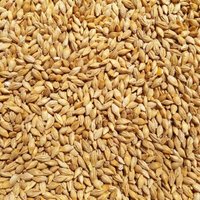 Supravit Braugerste - Ergänzungsfutter für Hühner und Tauben - energiereiches Zusatzfutter liefert wertvolle Kohlenhydrate - leicht verdaulich und gut verträglich 2,5 kg