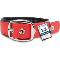 PetTec veganes Hundehalsband rot L