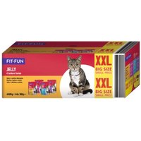 FIT+FUN Jelly Multipack XXL 44x100g 4 leckere Sorten