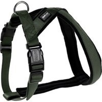AniOne X-Geschirr Classic grün XS-S